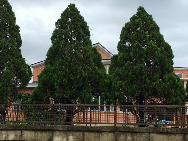 取手市井野台2丁目の新築一戸建(白山幼稚園)