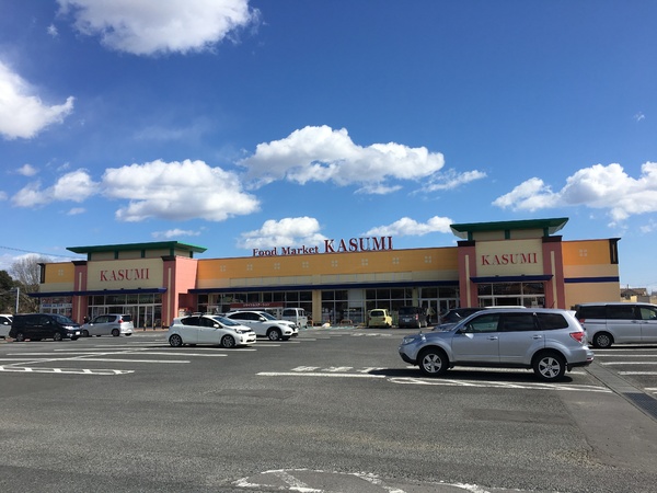 かすみがうら市下稲吉の新築一戸建(カスミ千代田店)