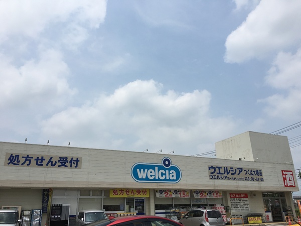 つくば市若森の土地(ウエルシアつくば大穂店)