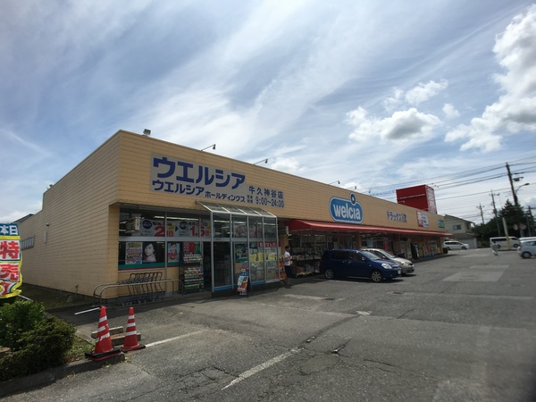 牛久市神谷5丁目の土地(ウエルシア薬局牛久神谷店)