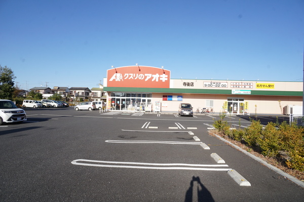 龍ケ崎市立野の新築一戸建(クスリのアオキ寺後店)