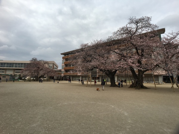土浦市真鍋3丁目の土地(土浦市立真鍋小学校)