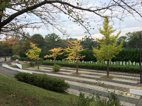 取手市戸頭6丁目の土地(戸頭公園)