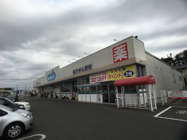 土浦市中高津2丁目の新築一戸建(ウエルシア薬局土浦高津店)