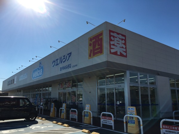 取手市ゆめみ野3丁目の新築一戸建(ウエルシア取手ゆめみ野店)