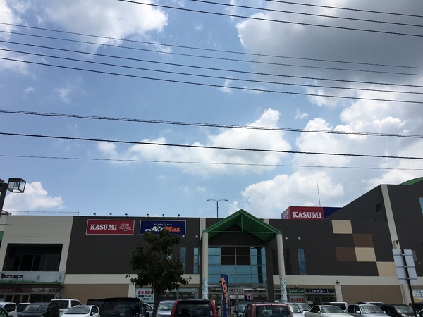 守谷市薬師台7丁目の土地(カスミフードスクエア守谷テラス店)