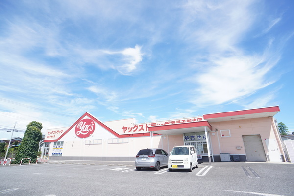 我孫子市新木の新築一戸建(ヤックスドラッグ我孫子新木店)