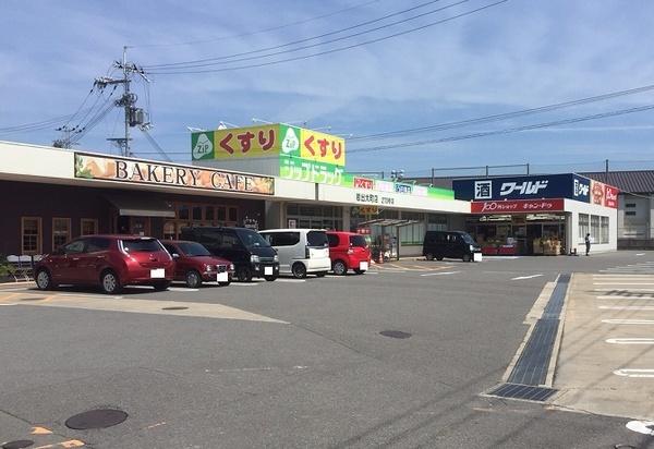 岩出市溝川の土地(ジップドラッグ岩出大町店)