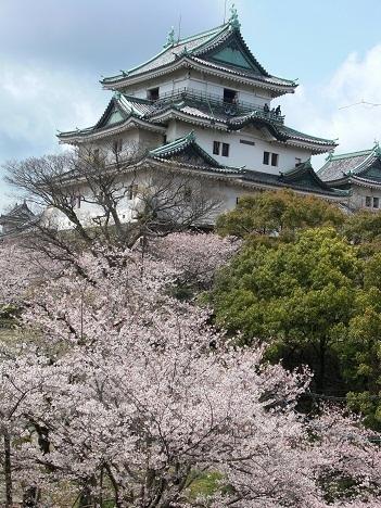 和歌山市杉ノ馬場２丁目の土地(和歌山城)