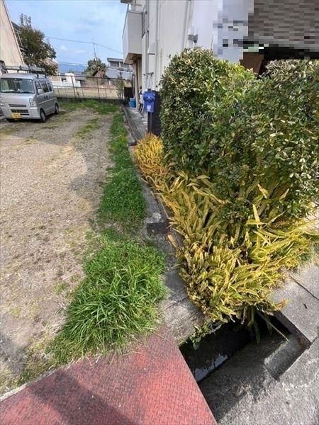 岩出市清水の土地