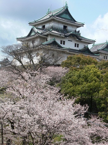 和歌山市西坂ノ上丁の土地(和歌山城)