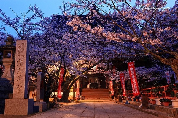 和歌山市紀三井寺の土地(紀三井寺)