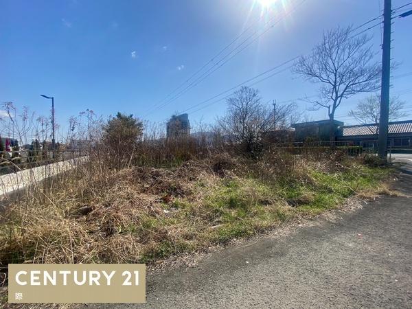 紀の川市畑野上の土地