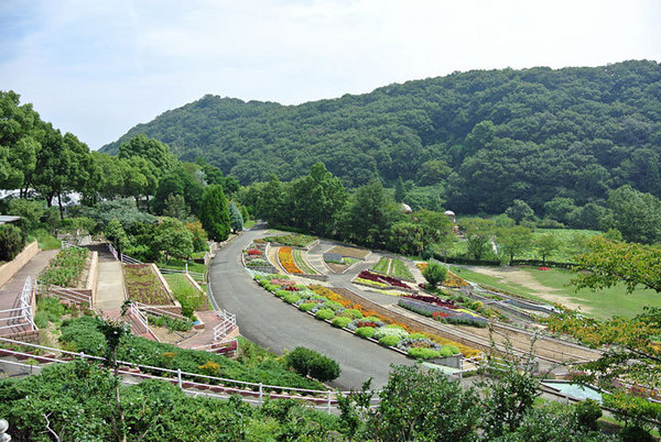 岩出市桜台の土地(植物公園緑花センター駐車場)