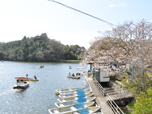 紀の川市貴志川町長山の土地(大池遊園)