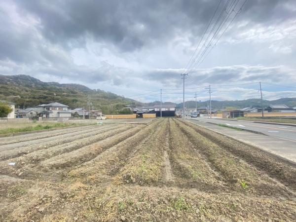 和歌山市禰宜　土地