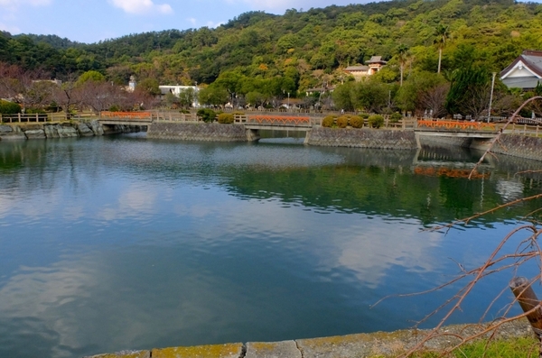 和歌山市和歌浦南2丁目の土地(御手洗池公園)