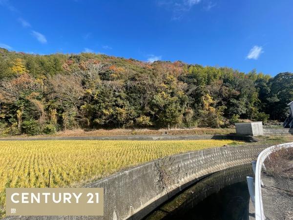 和歌山市頭陀寺の土地