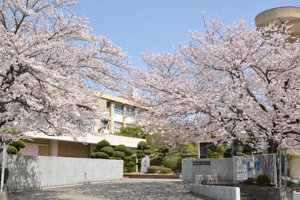 和歌山市布施屋の土地(和歌山市立高積中学校)