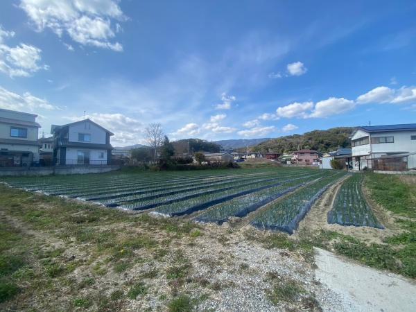 高野口町名古曽　土地