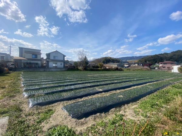 橋本市高野口町名古曽の土地