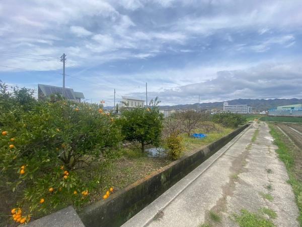 紀の川市尾崎の土地