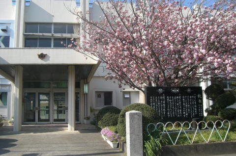 紀の川市名手市場の土地(紀の川市立那賀中学校)