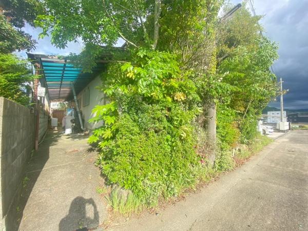 貴志川町井ノ口　土地