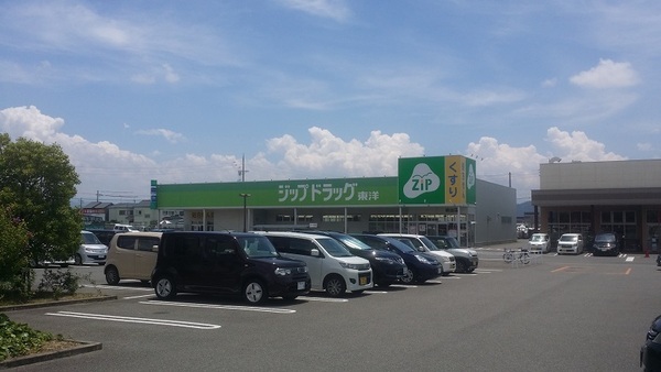 岩出市新田広芝の土地(ジップドラッグ岩出店)