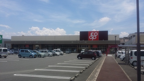 岩出市野上野の土地(岩出中央ショッピングセンター)