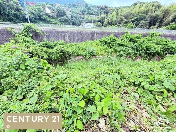 紀の川市西脇の土地