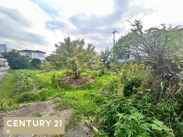 和歌山市中の土地
