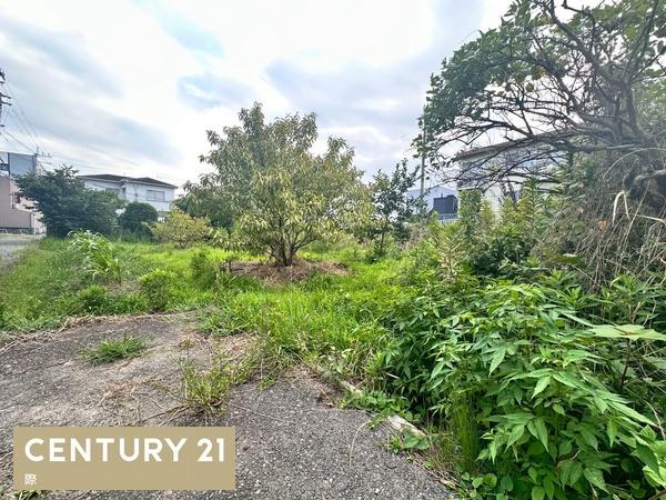 和歌山市中の土地