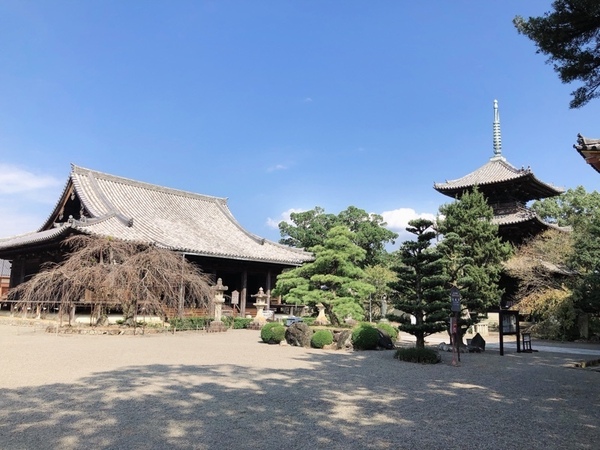 御坊市藤田町藤井の土地(道成寺)