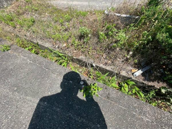 御坊市藤田町藤井の土地