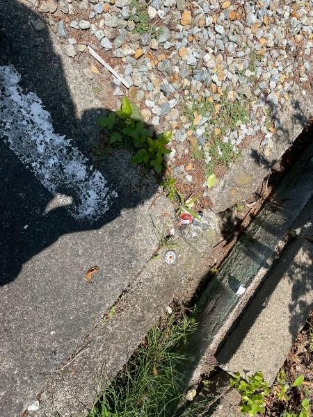 御坊市藤田町藤井の土地