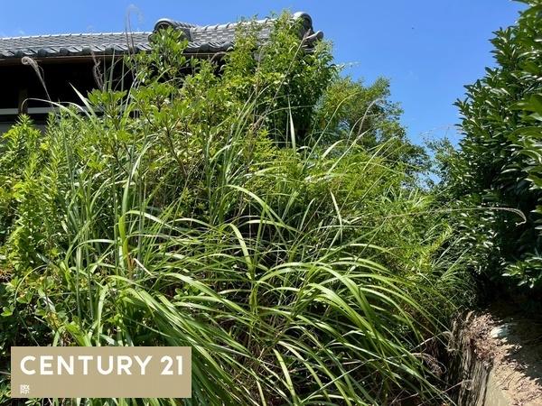 紀の川市貴志川町長原の土地
