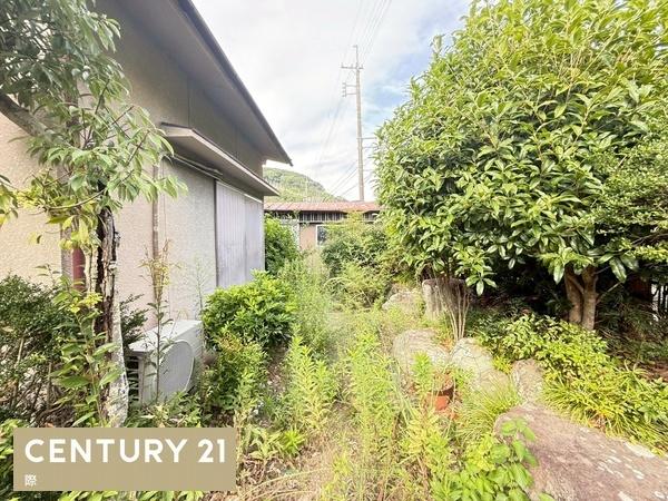 和歌山市日野の中古一戸建て(庭)