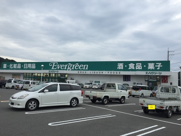 海南市幡川の土地(エバグリーン海南店)