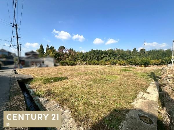 海南市九品寺　土地