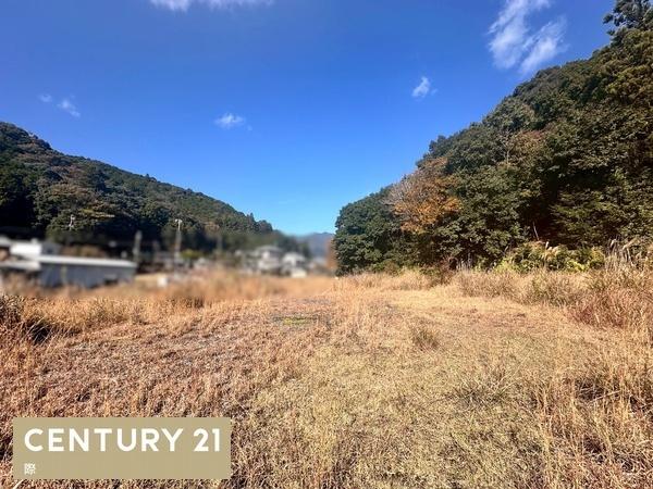 田辺市本宮町大居の土地