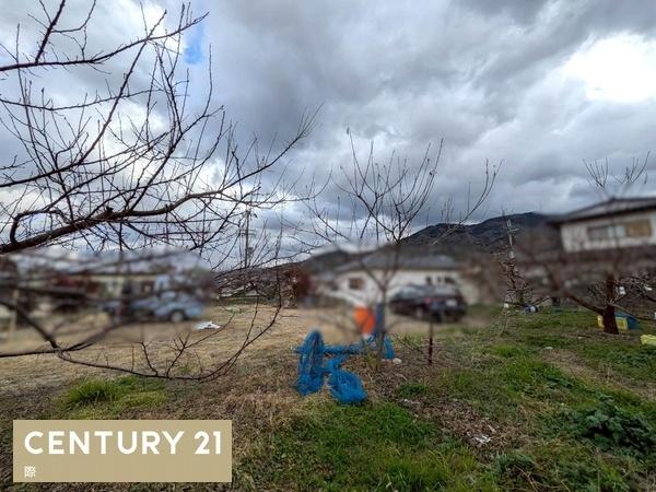 伊都郡かつらぎ町大字妙寺の土地