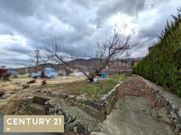 伊都郡かつらぎ町大字妙寺の土地