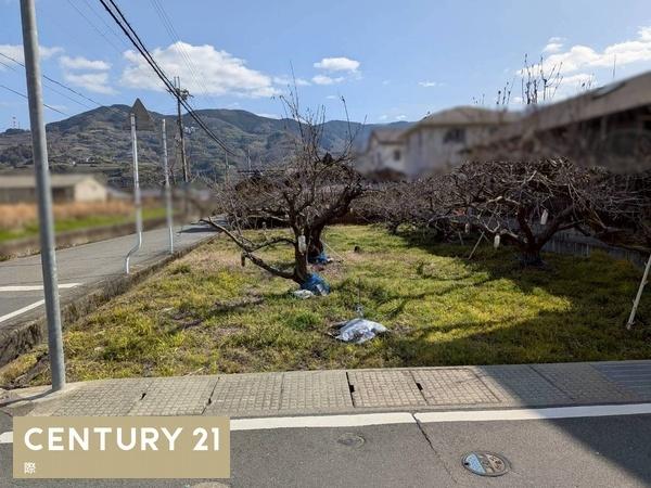 伊都郡かつらぎ町大字妙寺の土地