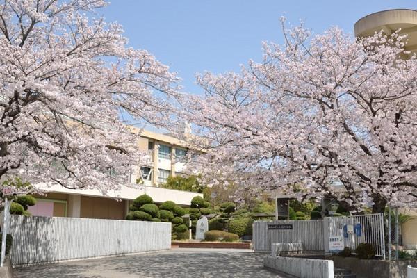 ライオンズマンションリバーサイド布施屋(和歌山市立高積中学校)