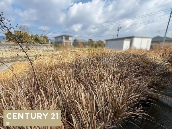 紀の川市南勢田の土地