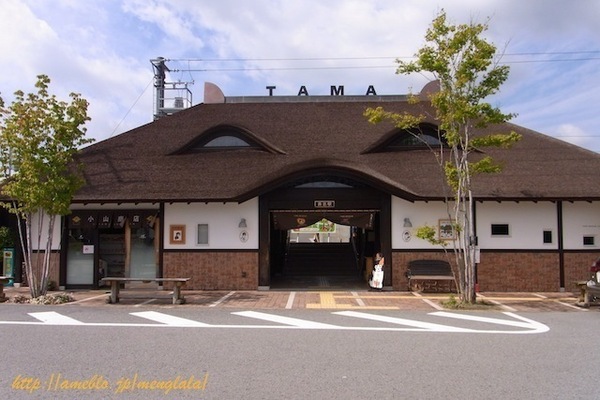 紀の川市貴志川町国主の土地(貴志駅(和歌山電鉄貴志川線))