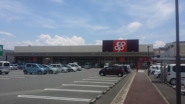 シャルマンフジ岩出五番館(岩出中央ショッピングセンター)