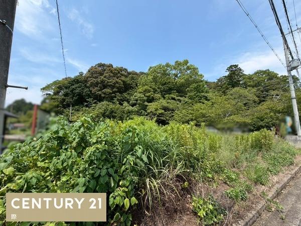 海南市小野田の土地