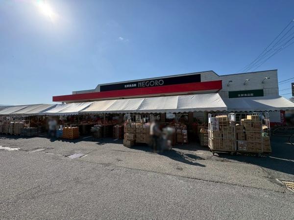 岩出市山田の土地(スーパーネゴロ岩出店)
